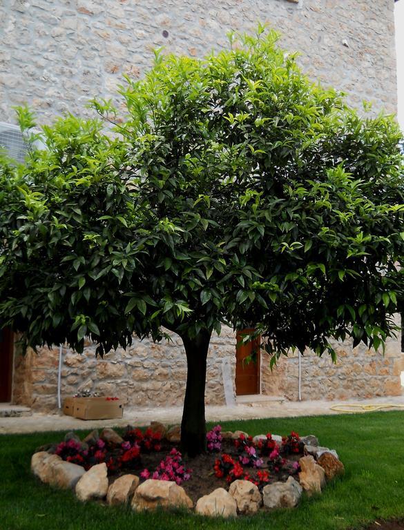 Agriturismo Casale Re Sonnino Exterior foto